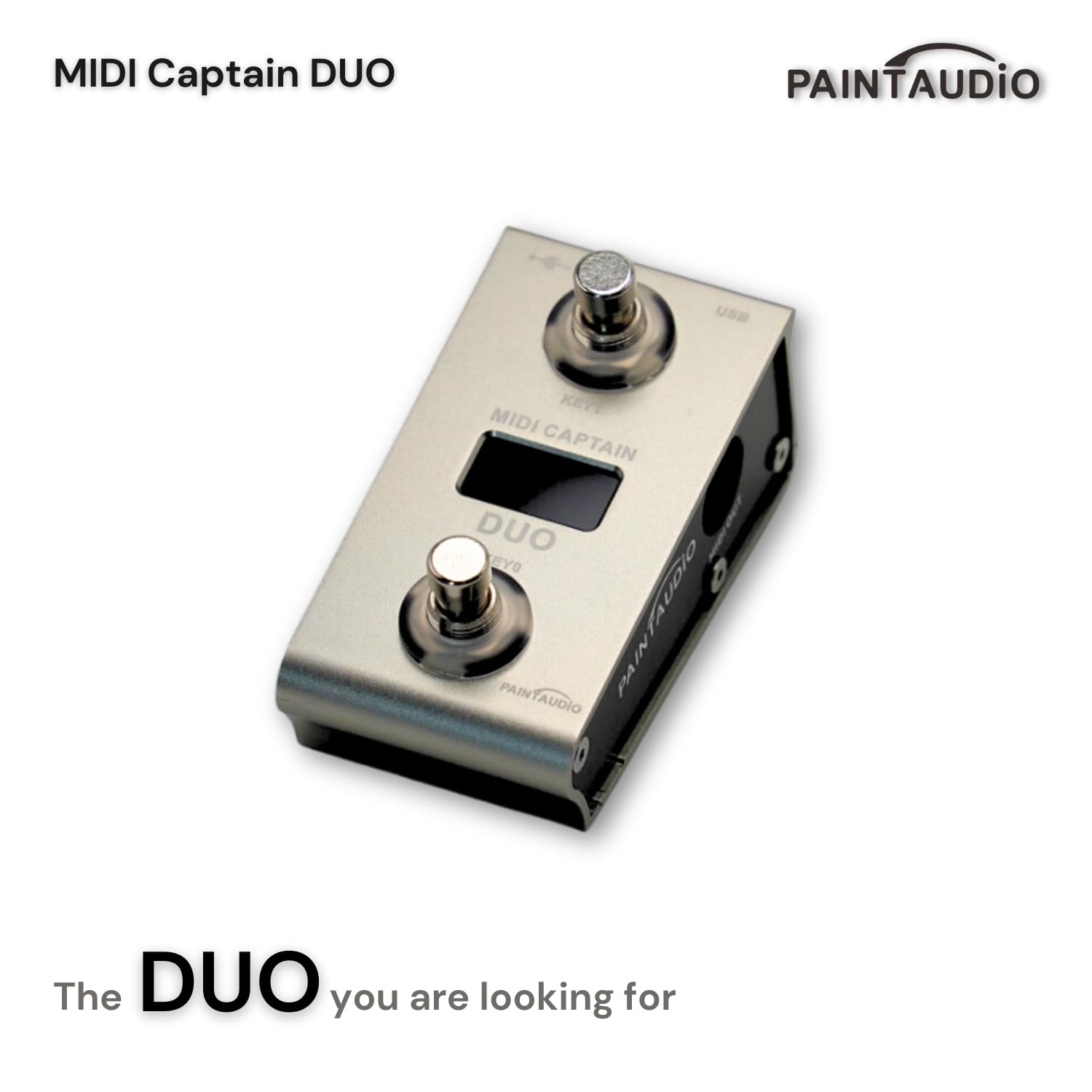 Amazon | 【国内正規品】PAINTAUDIO MIDI CAPTAIN DUO | ダブルフット
